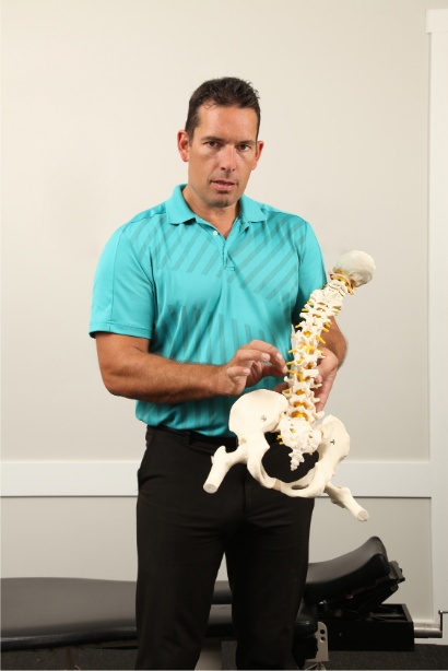 Spine model assessment for chiropractic care